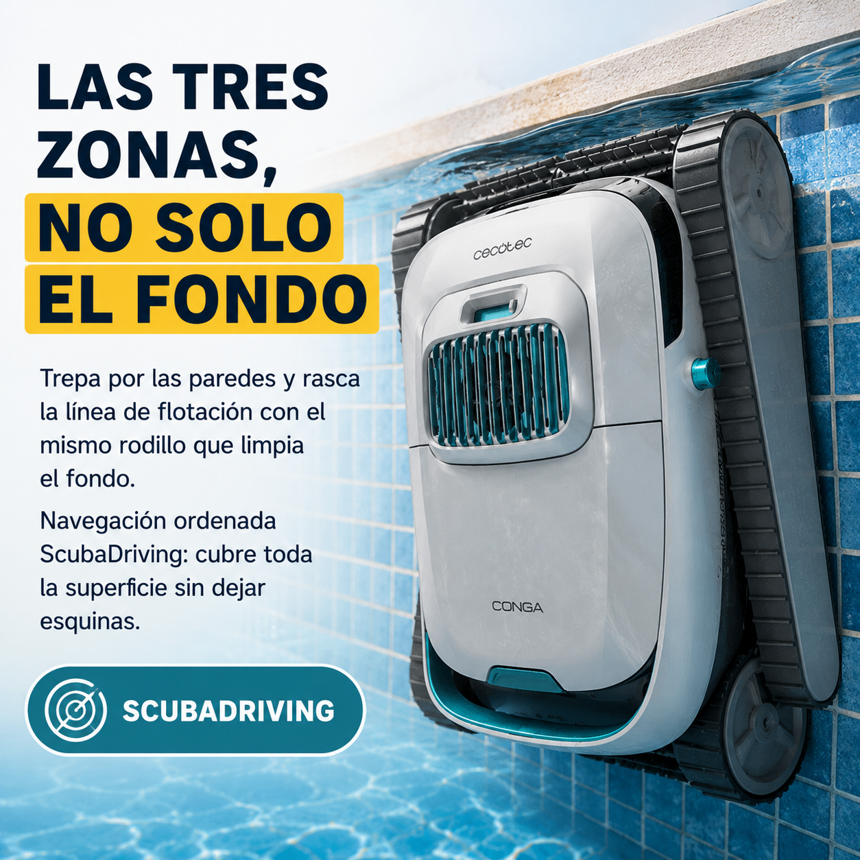 Fondo, paredes y línea de flotación: limpia las tres zonas, no solo el suelo